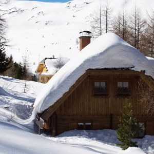 winter D winter D